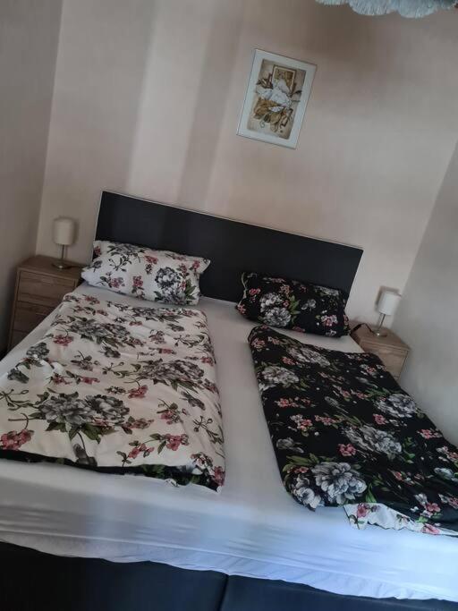 Gemuetliche Ferienwohnung Am Waldrand Elgersburg المظهر الخارجي الصورة