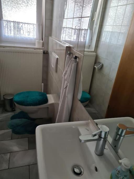 Gemuetliche Ferienwohnung Am Waldrand Elgersburg المظهر الخارجي الصورة